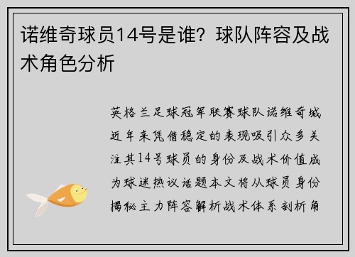 诺维奇球员14号是谁？球队阵容及战术角色分析