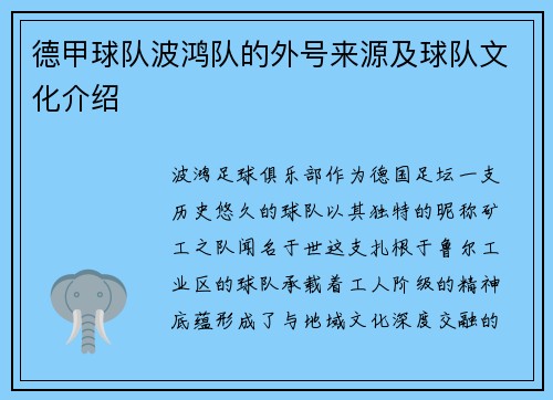 德甲球队波鸿队的外号来源及球队文化介绍